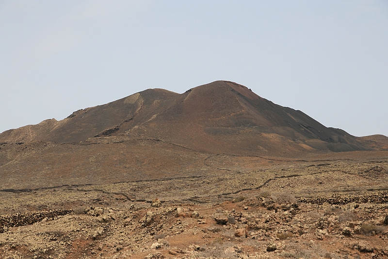 Kanary_2010 143